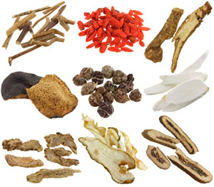 Dried Chinese herbs